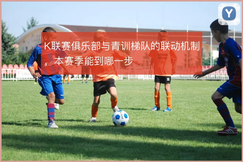 K联赛俱乐部与青训梯队的联动机制,本赛季能到哪一步