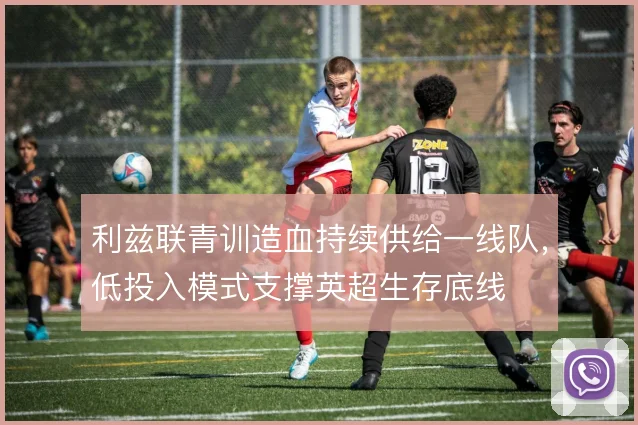 利兹联青训造血持续供给一线队,低投入模式支撑英超生存底线