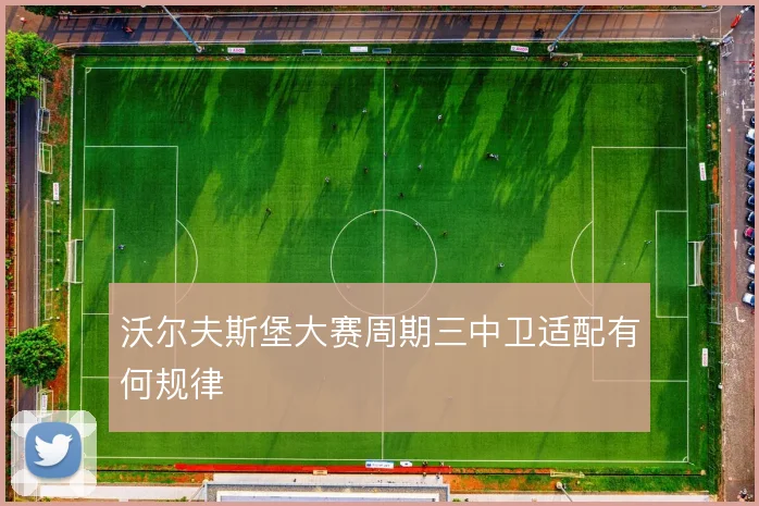 沃尔夫斯堡大赛周期三中卫适配有何规律