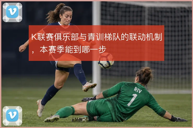 K联赛俱乐部与青训梯队的联动机制，本赛季能到哪一步
